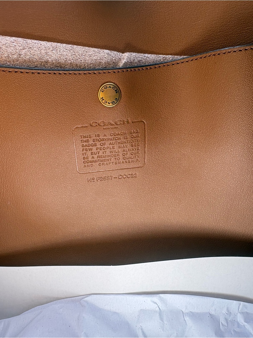 NWT Coach Brooklyn 39 Brown Suede Fringe Bag - Picture 9 of 9